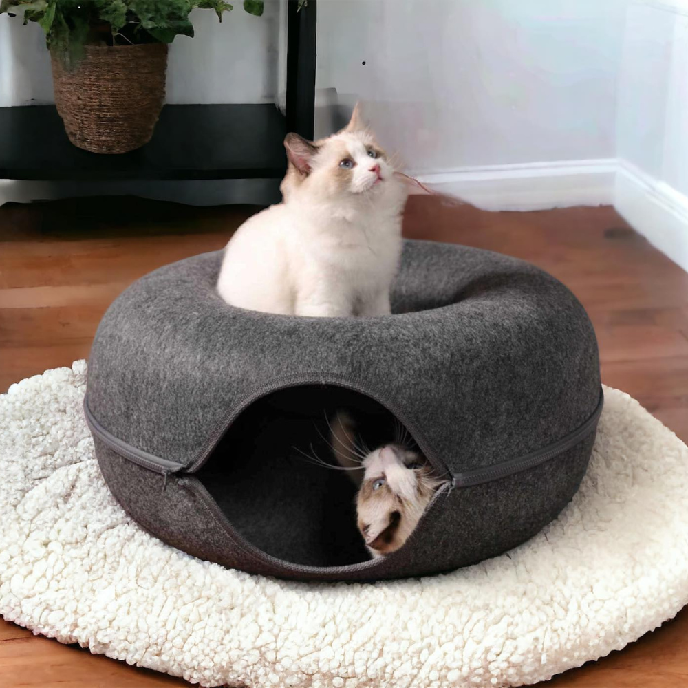 Scratchable Cat Bed – Shop Easy Australia